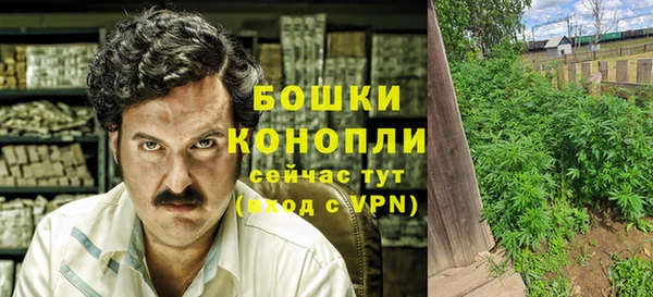 стафф Осташков