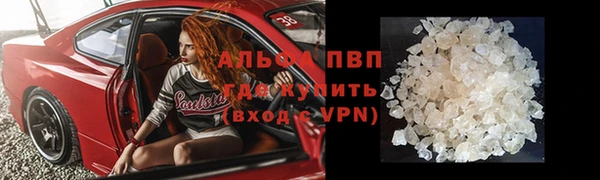 стафф Осташков