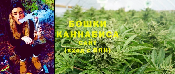 стафф Осташков