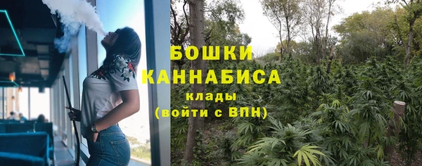 стафф Осташков