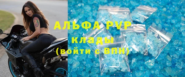 стафф Осташков