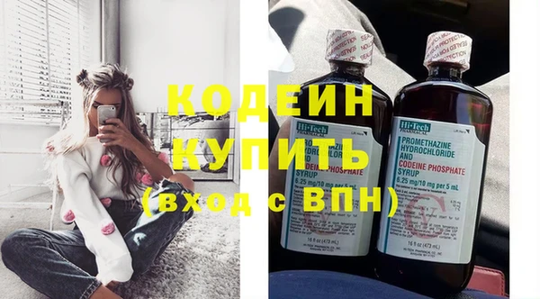 стафф Осташков