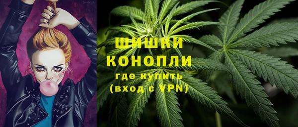 стафф Осташков