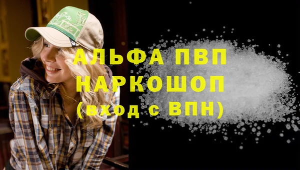 стафф Осташков