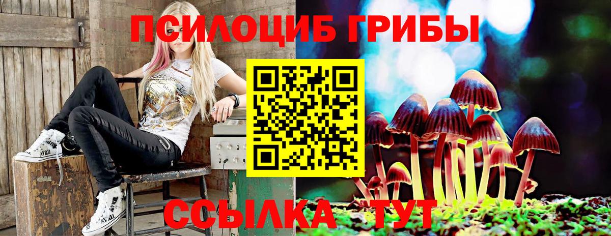 Галлюциногенные грибы мицелий Кудрово