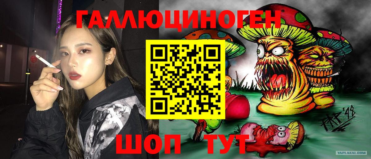 Псилоцибиновые грибы Psilocybe  Кудрово  Галлюциногенные грибы ЛСД 