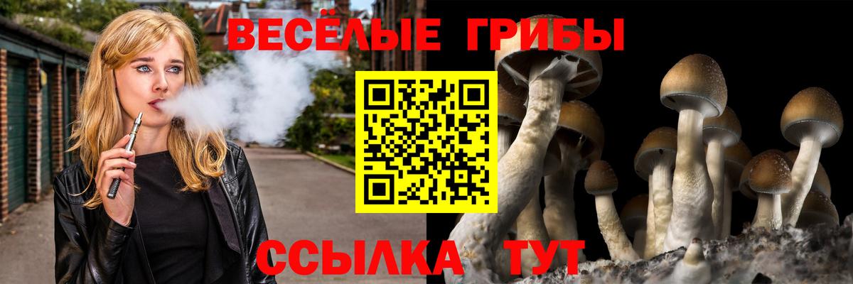 Псилоцибиновые грибы Cubensis  Псилоцибиновые грибы Psilocybe  Кудрово  Вход с VPN 